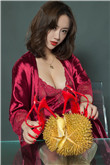 兔子的秘密花园陆沉小说阅读